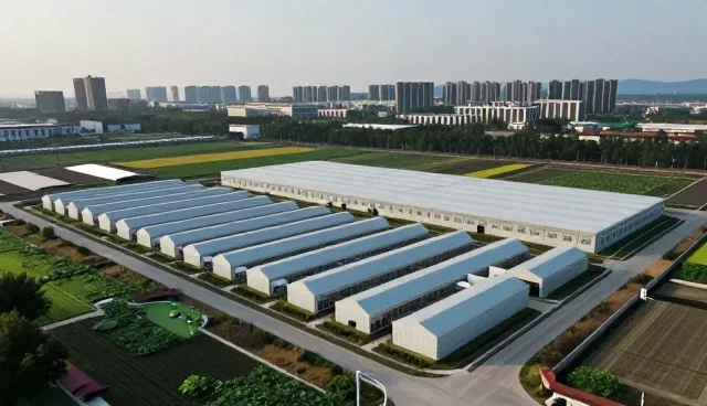 郑州艺动健身服务有限公司介绍专业智能管理系统能力